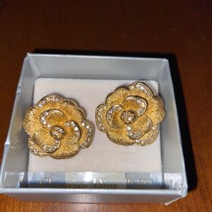 Christian Dior Earrings!